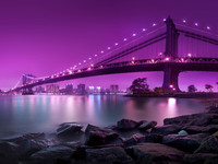 Evening and night bridges in the lights