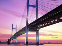 Evening and night bridges in the lights