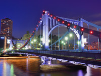 Evening and night bridges in the lights