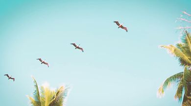 Everly Brothers - Bye bye love (1957)