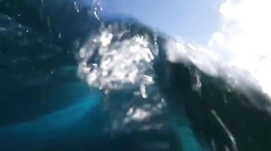 Beach Boys - In My Room (1963)