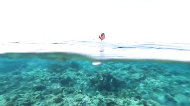 Question Mark & The Mysterians - 96 Tears (1966)