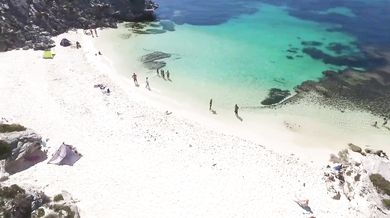 The Left Banke - Walk Away Rene (1966)