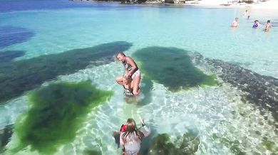 The Left Banke - Walk Away Rene (1966)