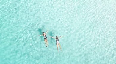 The Left Banke - Walk Away Rene (1966)