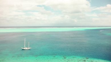 Muddy Waters - Mannish Boy (1955)