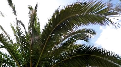 The Clash - Should I Stay Or Should I Go (1982)