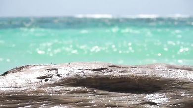 The Animals - We Gotta Get Out Of This Place (1965)