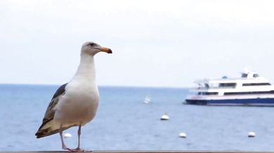 Chic - Good Times (1979)