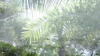 U2 - Sunday Bloody Sunday (1983)