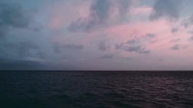 Elvis Costello & The Attractions - (What-s So Funny -Bout) Peace, Love And Understanding(1979)