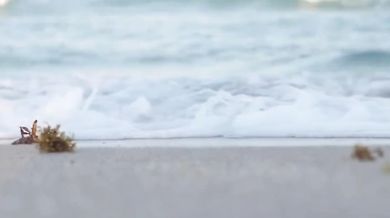 Bob Marley & The Wailers - Get Up Stand Up (1975)