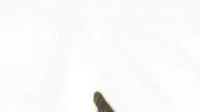 Bob Marley & The Wailers - Get Up Stand Up (1975)