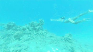 Elvis Costello - Alison (1977)