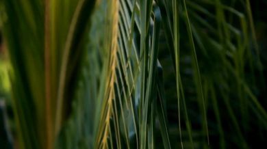 Jackie Wilson - Lonely Teardrops (1958)