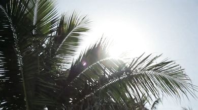 Screamin- Jay Hawkins - I Put a Spell on You (1956)