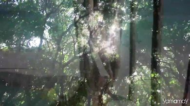 Public Enemy - Fight The Power (1989)