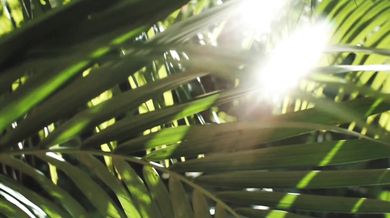 The Velvet Underground - Sweet Jane (1970)