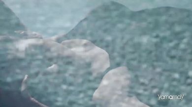 The Doors - The End (1967)