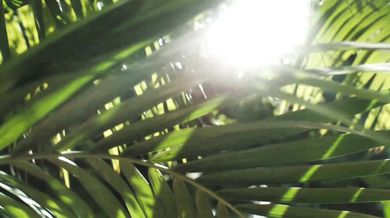 Roberta Flack - Killing me softly with his song (1973)