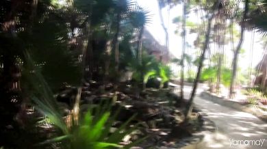 Bee Gees - How Deep Is Your Love (1977)