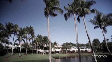 The Jimi Hendrix Experience - The Wind Cries Mary (1967)