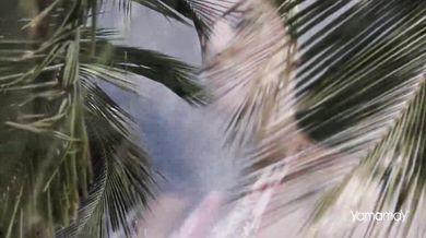 The Jimi Hendrix Experience - The Wind Cries Mary (1967)