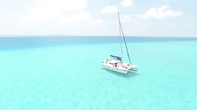 Pink Floyd - Another Brick In The Wall, Part Two (1979)