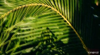 Depeche Mode - Personal Jesus (1989)