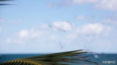 Depeche Mode - Personal Jesus (1989)