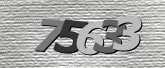 Captcha resmi